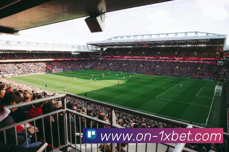 1xbet平台生态图